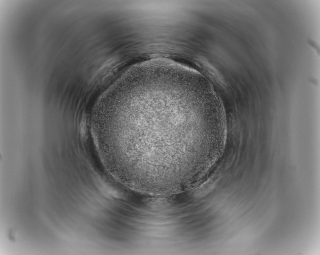 X0000096470074200802071906