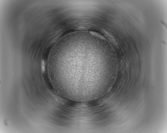 X0000096470075200802071906