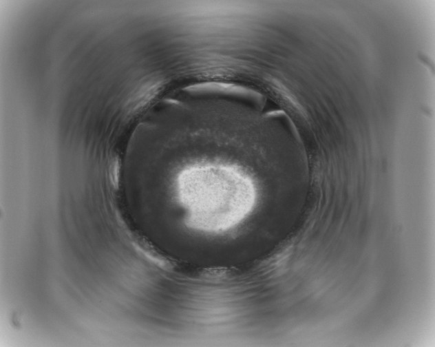 X0000096470076200802071906