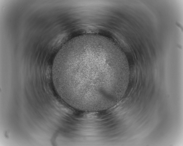 X0000096470078200802071906