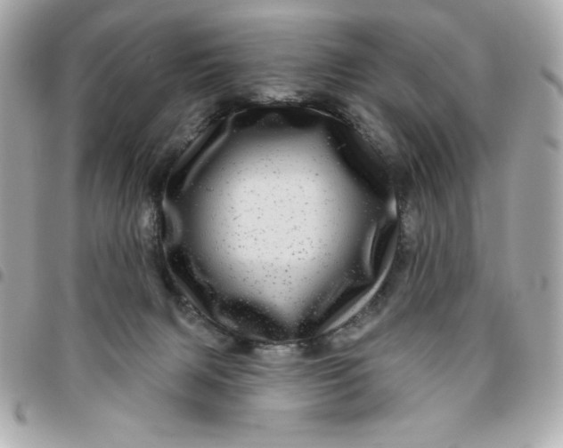 X0000096470079200802071906