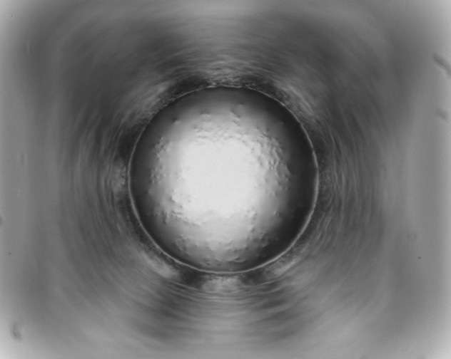 X0000096470081200802071906