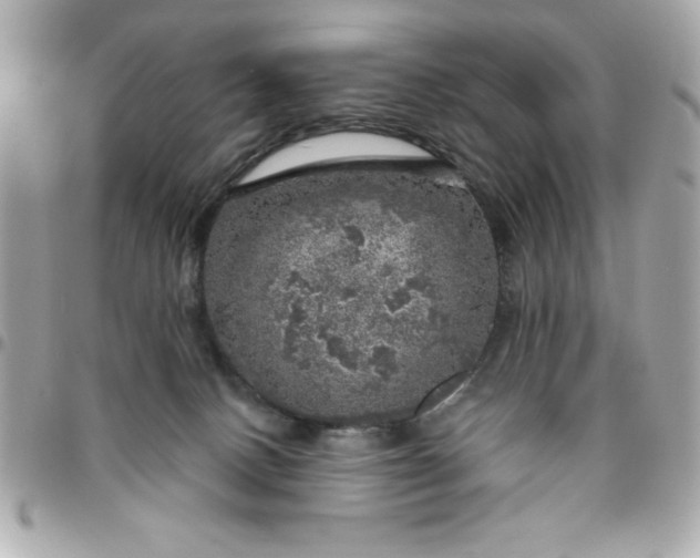 X0000096470082200802071906