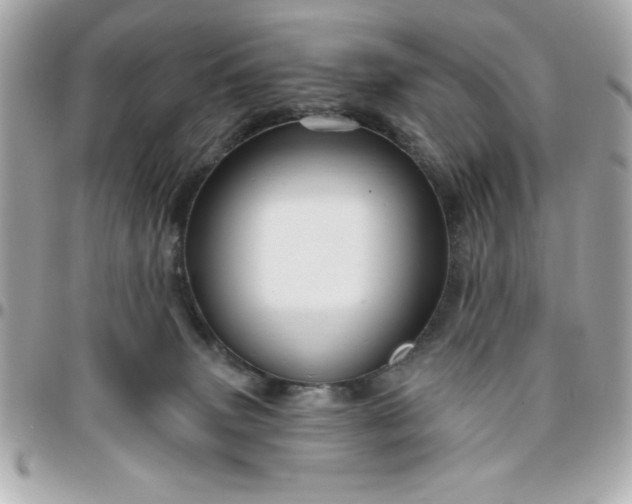 X0000096470083200802071906