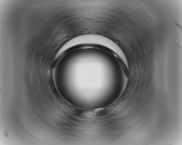 X0000096470084200802071906