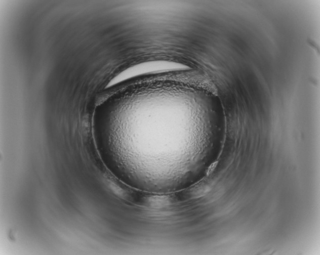 X0000096470085200802071906