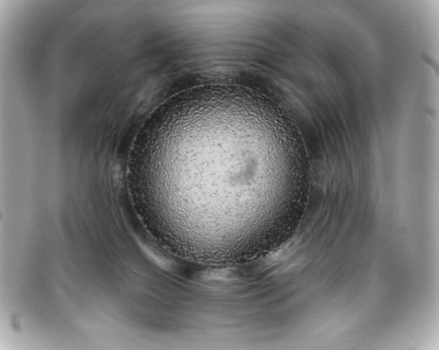 X0000096470086200802071906