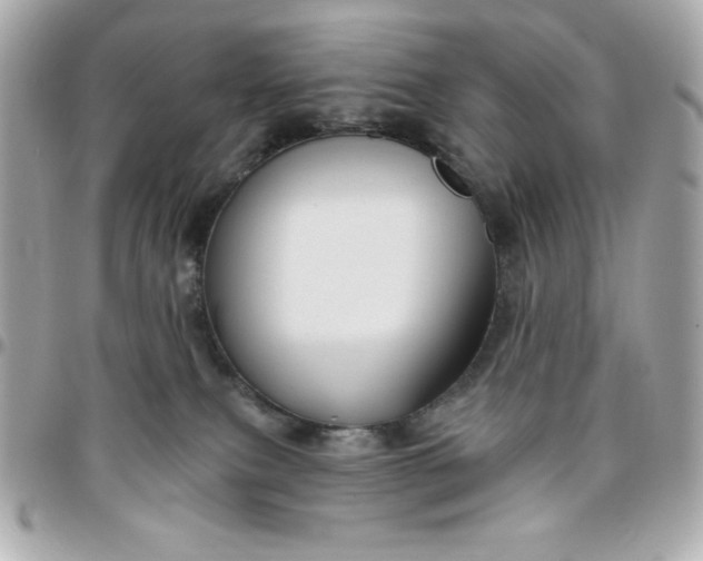 X0000096470087200802071906