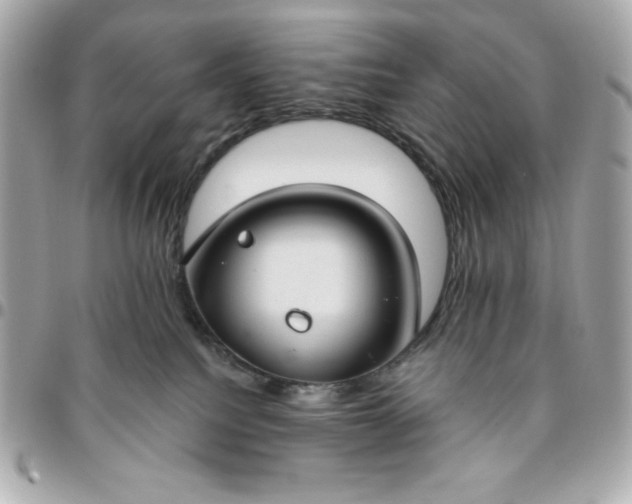 X0000096470088200802071906