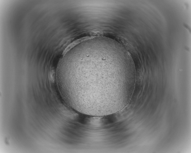 X0000096470090200802071906