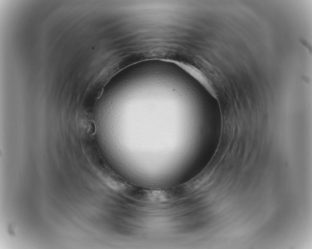 X0000096470091200802071906