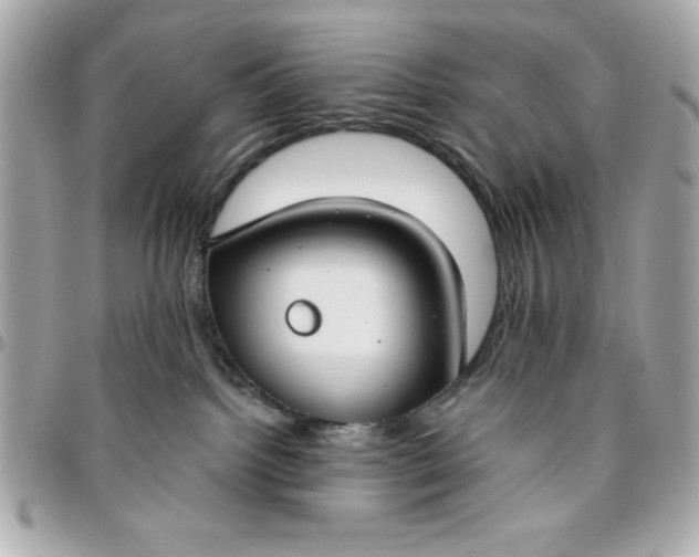 X0000096470092200802071906