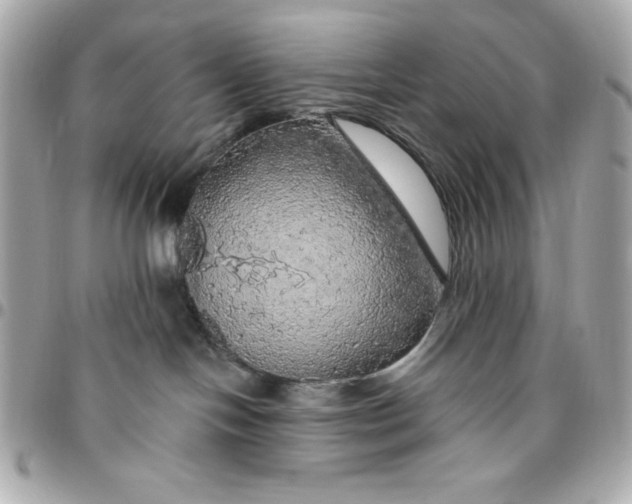 X0000096470094200802071906