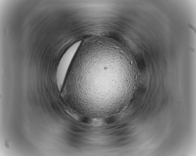 X0000096470095200802071906