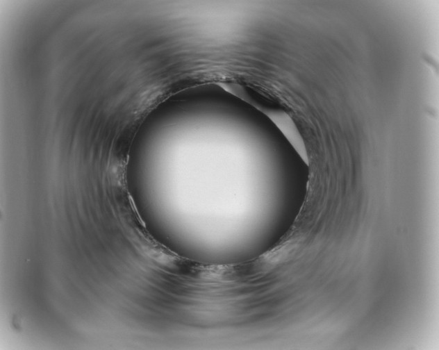 X0000096470096200802071906