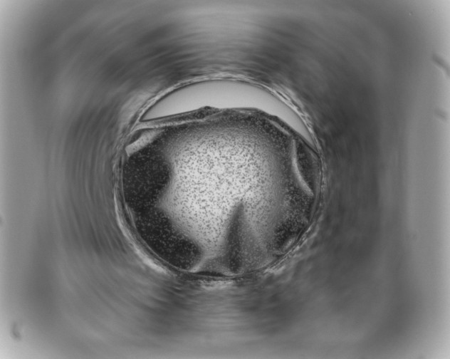 X0000096470097200802071906