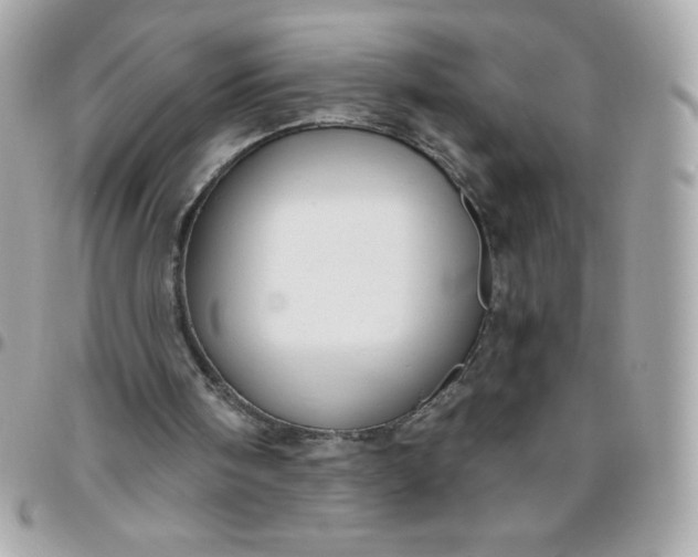 X0000096470098200802071906