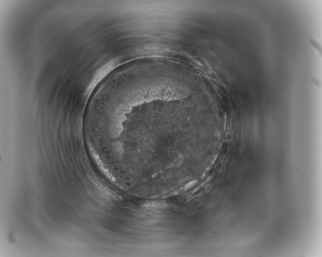 X0000096470099200802071906