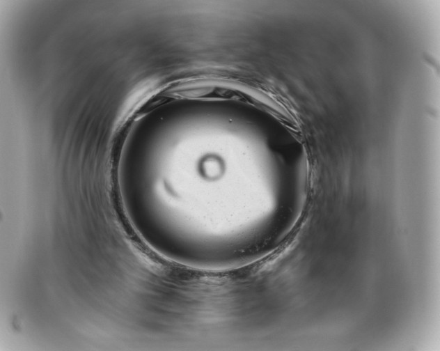 X0000096470101200802071906