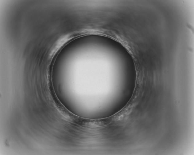 X0000096470103200802071905