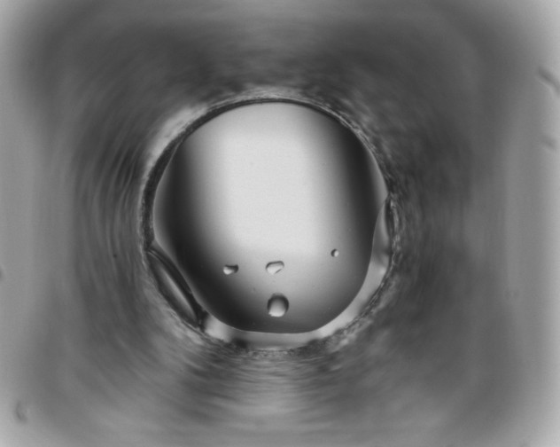 X0000096470104200802071905