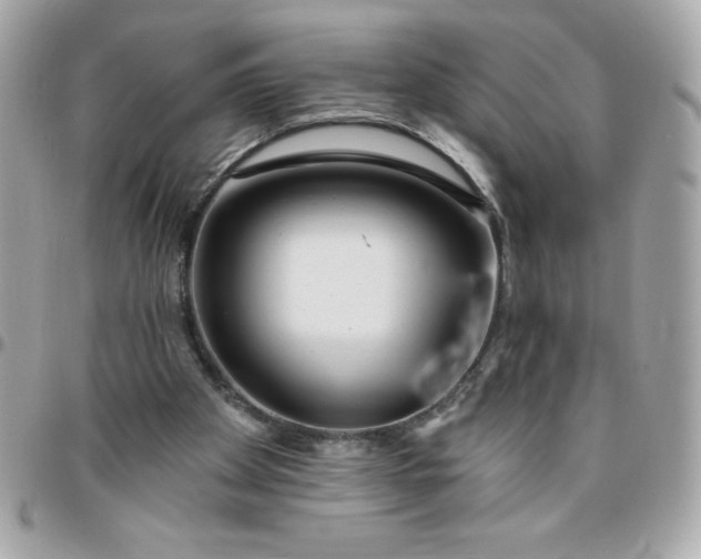 X0000096470105200802071905