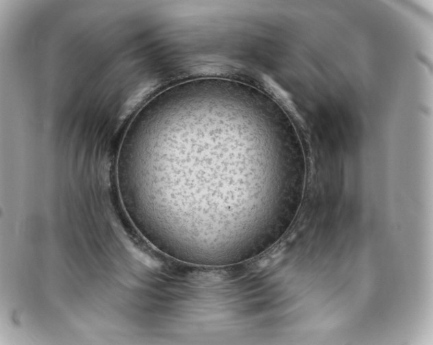 X0000096470106200802071905