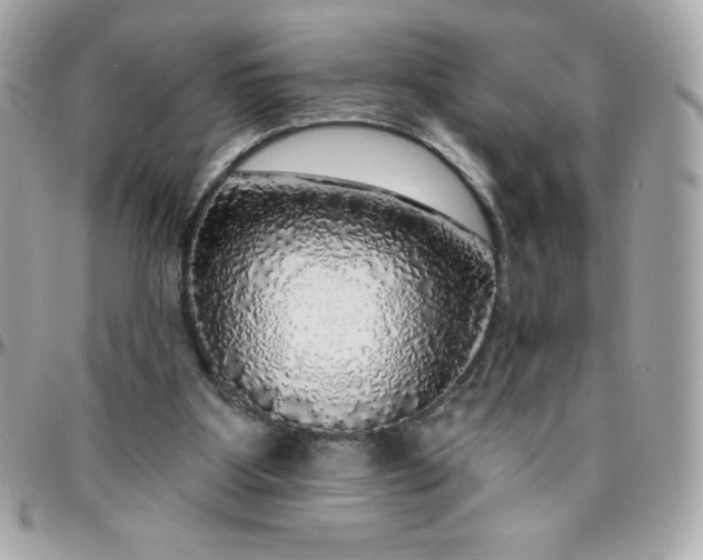 X0000096470107200802071905