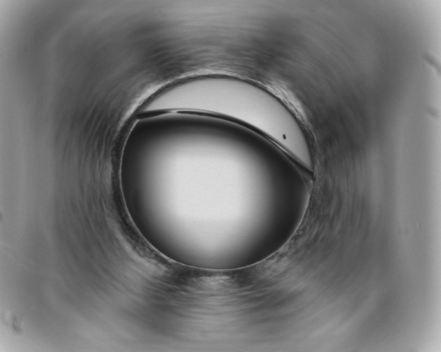 X0000096470108200802071905