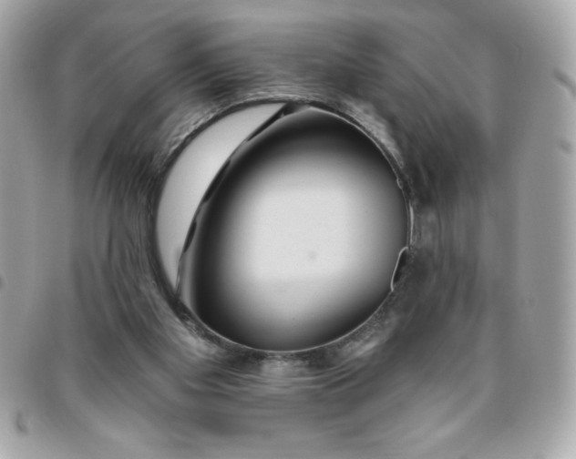 X0000096470109200802071905