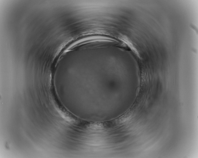 X0000096470110200802071905