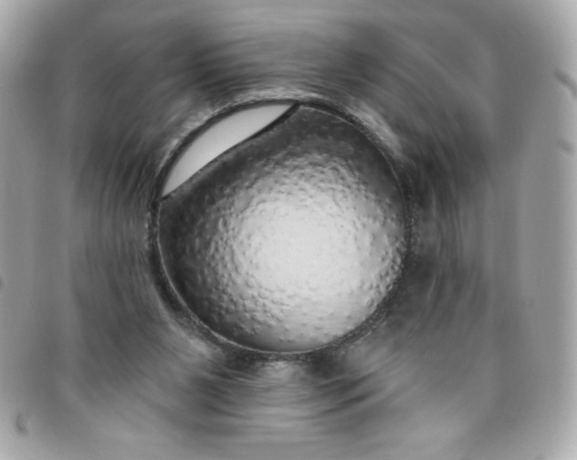 X0000096470111200802071905