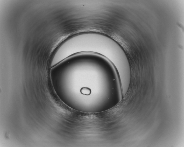 X0000096470112200802071905