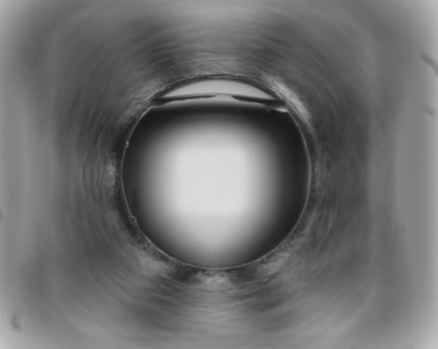 X0000096470113200802071905