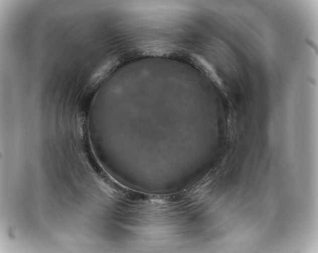 X0000096470114200802071905