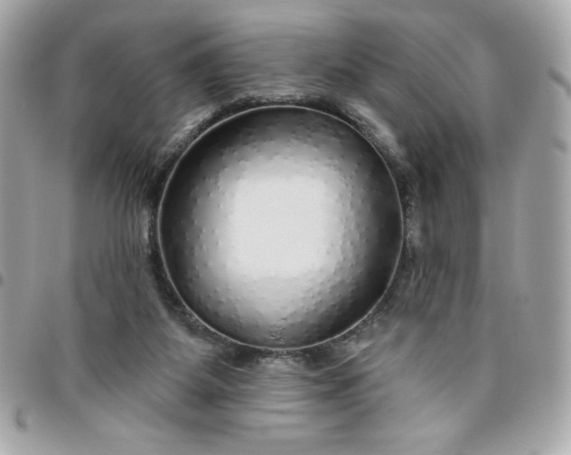 X0000096470115200802071905