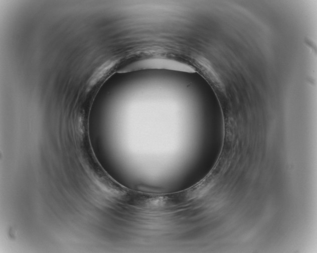 X0000096470116200802071905