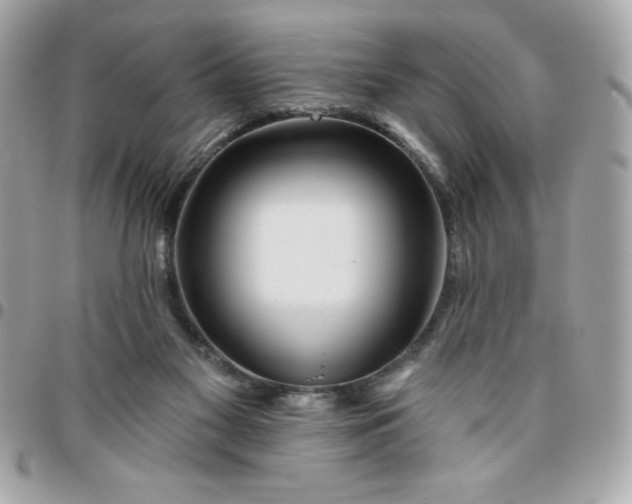 X0000096470117200802071905