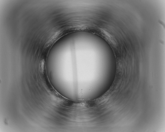 X0000096470118200802071905