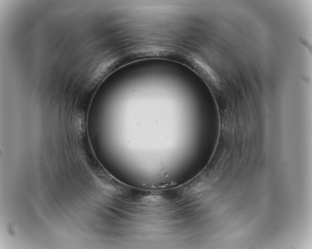 X0000096470119200802071905