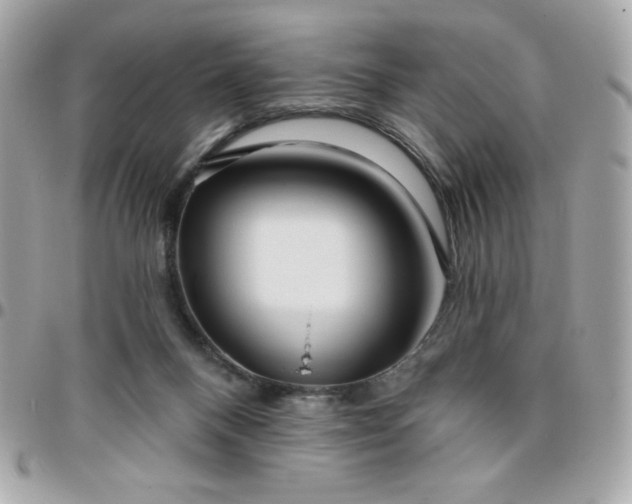 X0000096470120200802071905