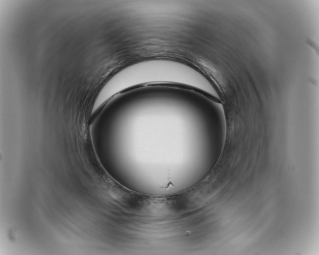 X0000096470121200802071905