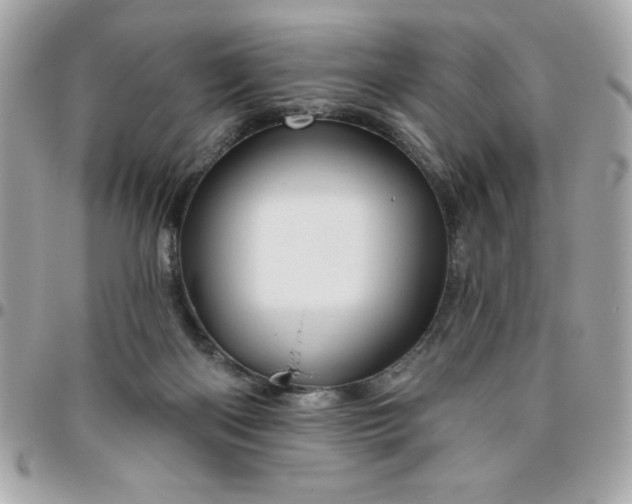 X0000096470122200802071905