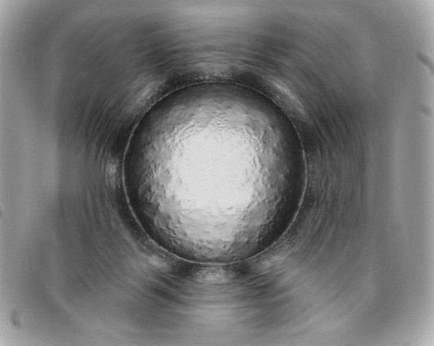 X0000096470123200802071905