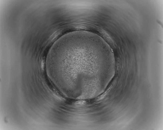 X0000096470124200802071905