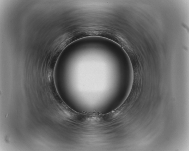 X0000096470125200802071905