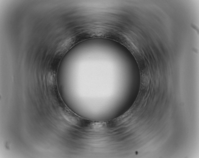 X0000096470126200802071905