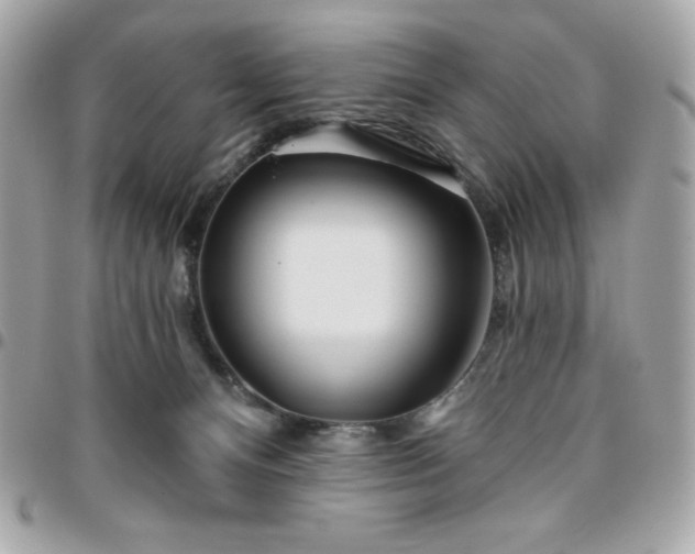 X0000096470128200802071905