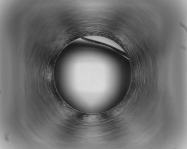 X0000096470129200802071905