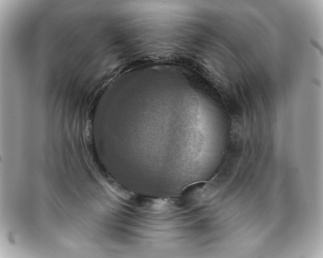 X0000096470130200802071905